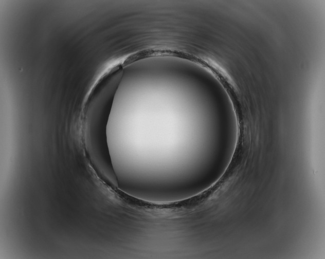 X0000087320976200704201107