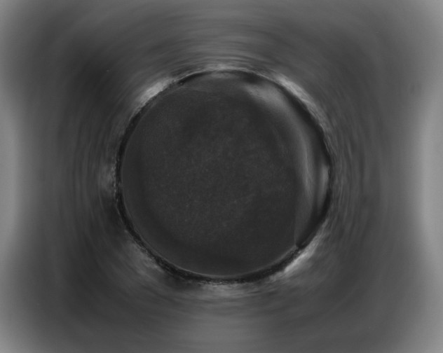 X0000087320977200704201107