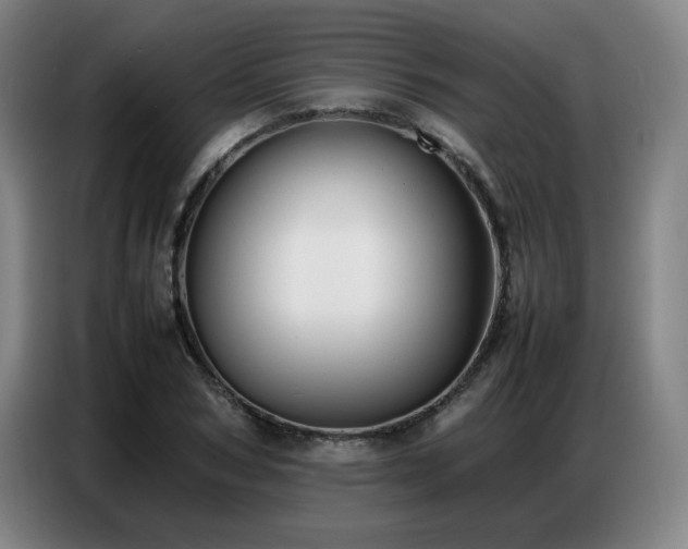 X0000087320978200704201107