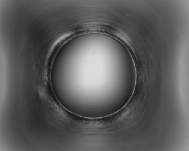 X0000087320979200704201107