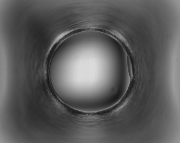 X0000087320981200704201107