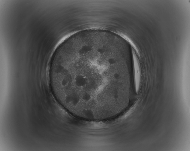 X0000087320983200704201107