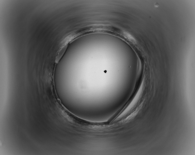 X0000087320985200704201107