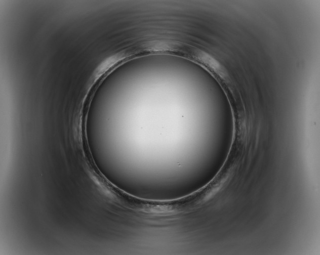 X0000087320986200704201107