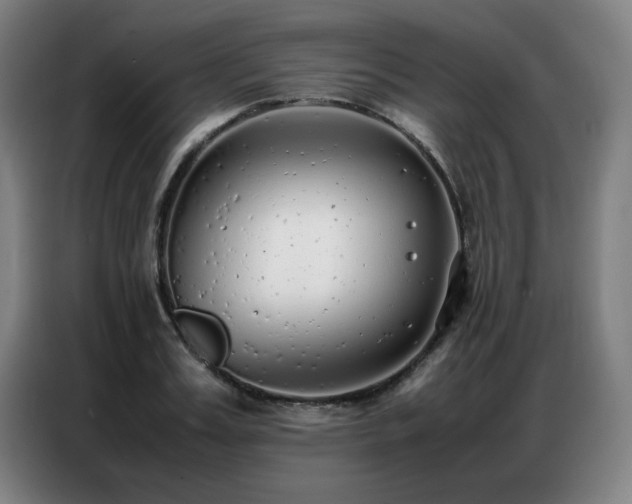 X0000087320987200704201107