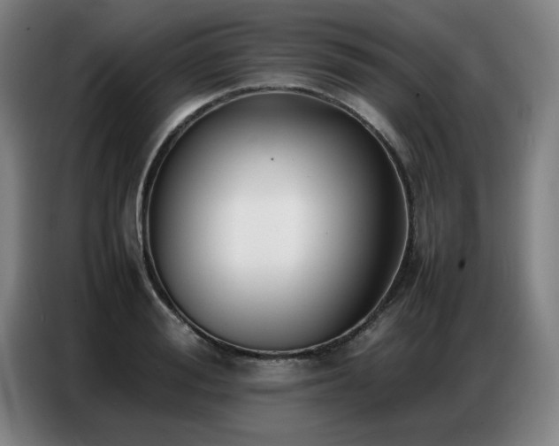 X0000087320988200704201107