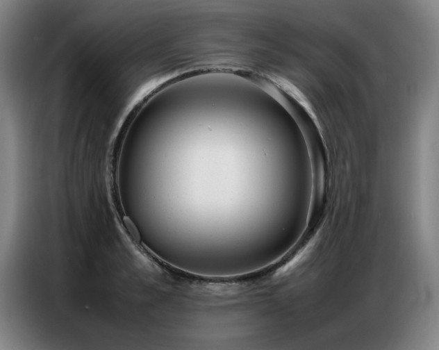 X0000087320989200704201107