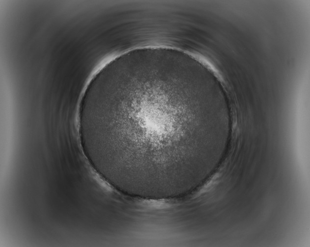 X0000087320990200704201107