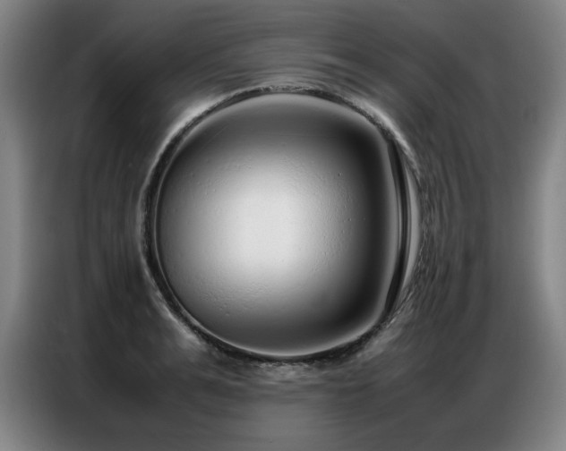 X0000087320991200704201107