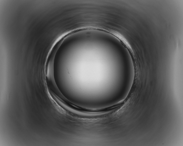 X0000087320996200704201107