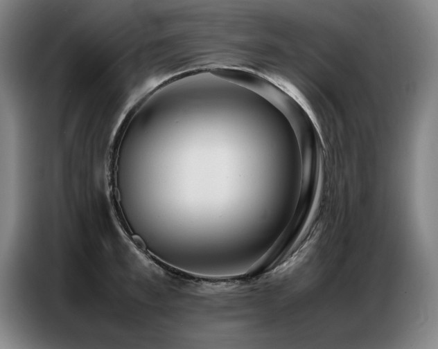 X0000087320997200704201107
