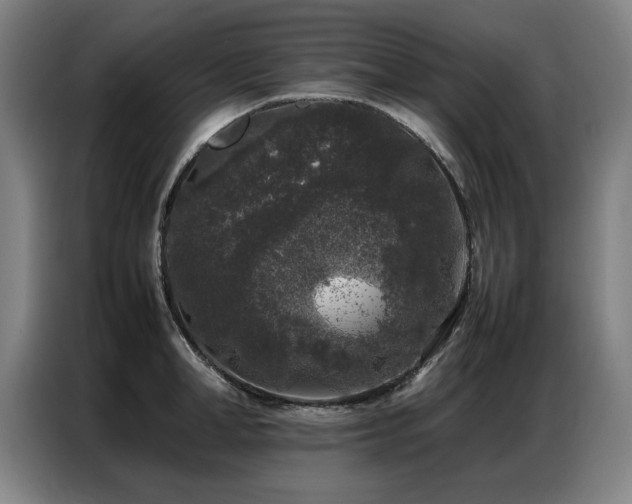 X0000087320998200704201107