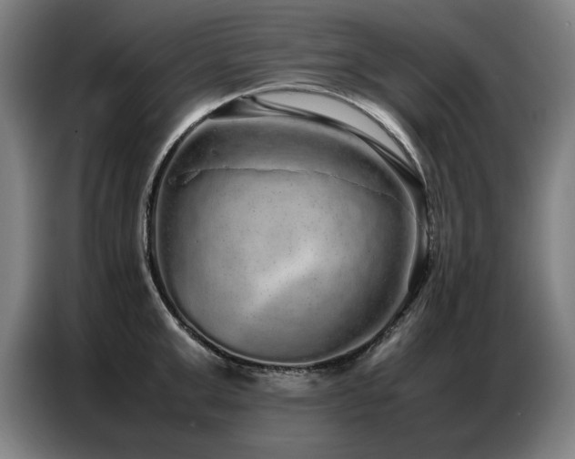 X0000087320999200704201107
