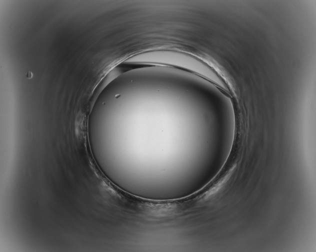 X0000087321001200704201107