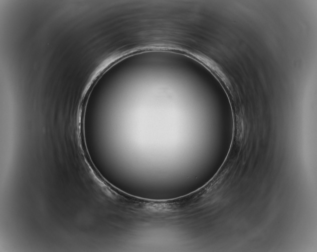 X0000087321006200704201107