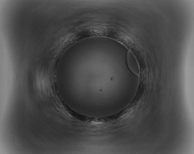 X0000087321009200704201106