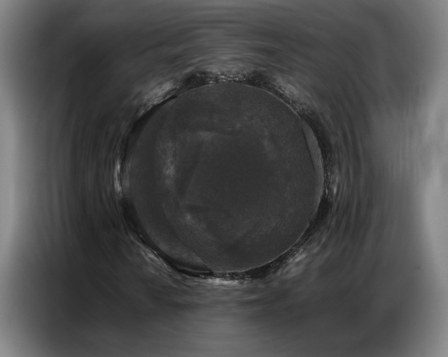 X0000087321010200704201106