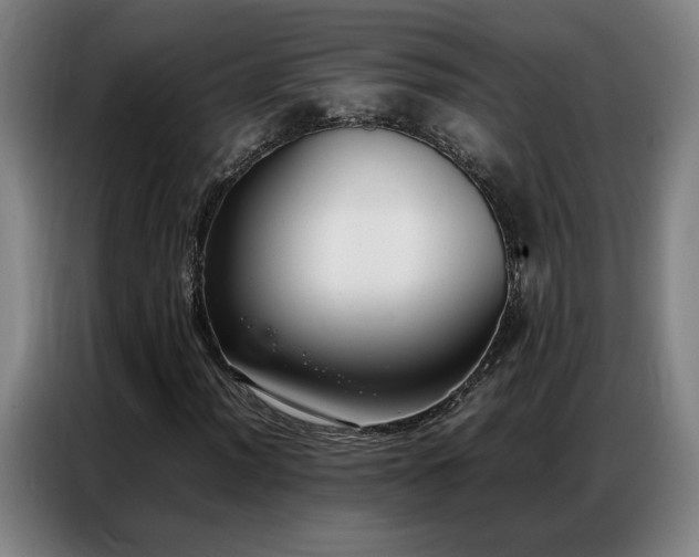 X0000087321012200704201106