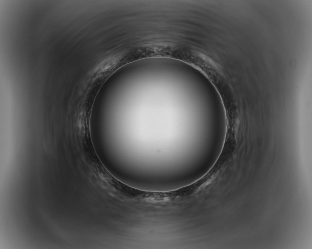 X0000087321014200704201106