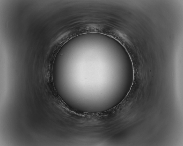 X0000087321015200704201106