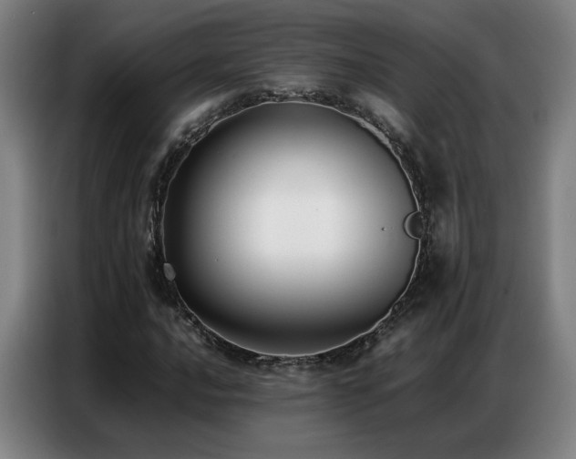 X0000087321016200704201106