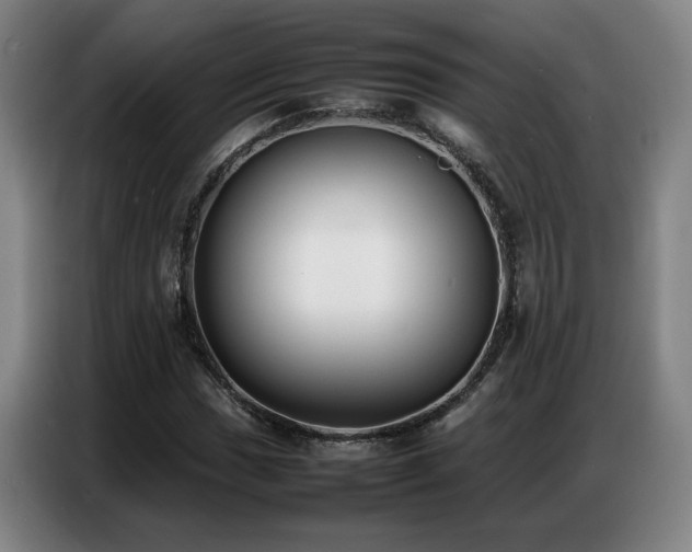 X0000087321017200704201106