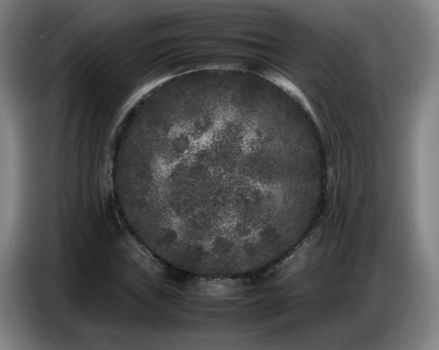 X0000087321019200704201106