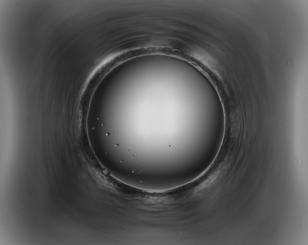 X0000087321021200704201106