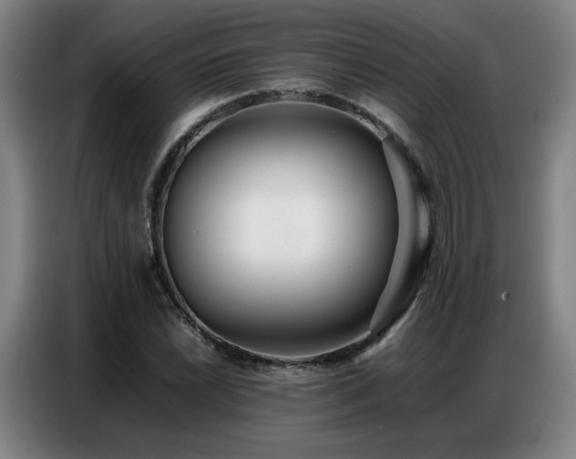 X0000087321022200704201106