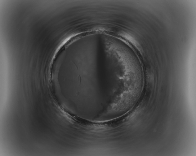X0000087321023200704201106