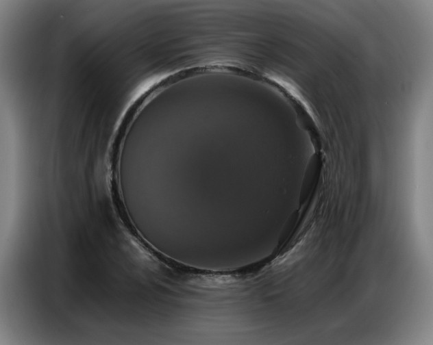 X0000087321024200704201106