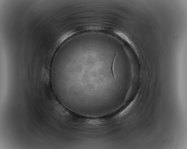 X0000087321025200704201106