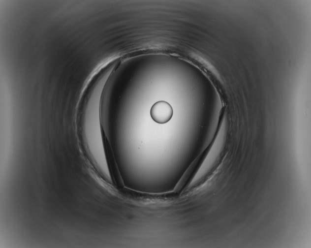 X0000087321026200704201106
