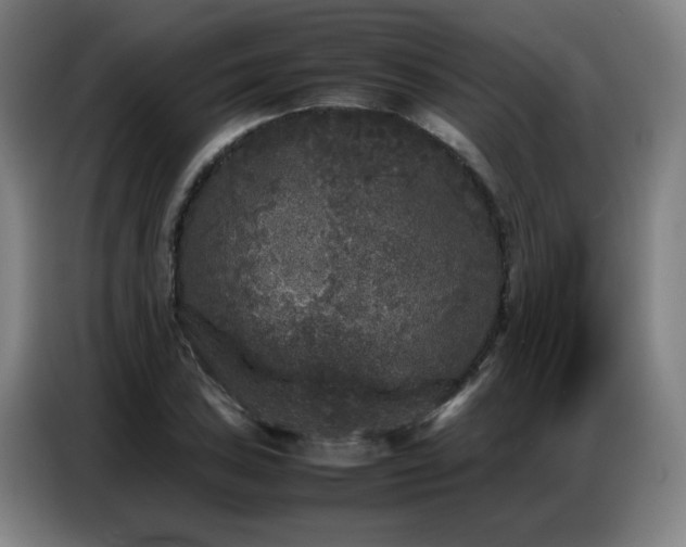 X0000087321027200704201106