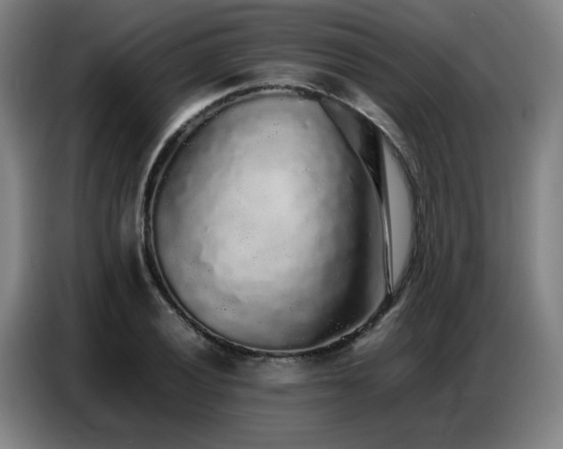 X0000087321028200704201106