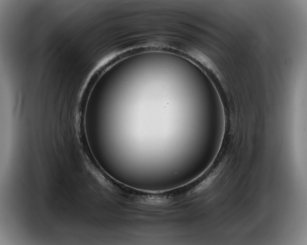X0000087321029200704201106