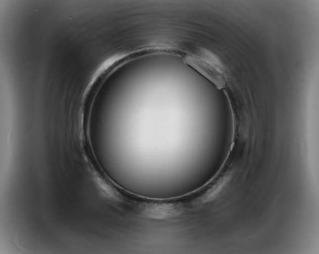 X0000087321030200704201107