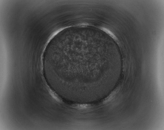 X0000087321031200704201107