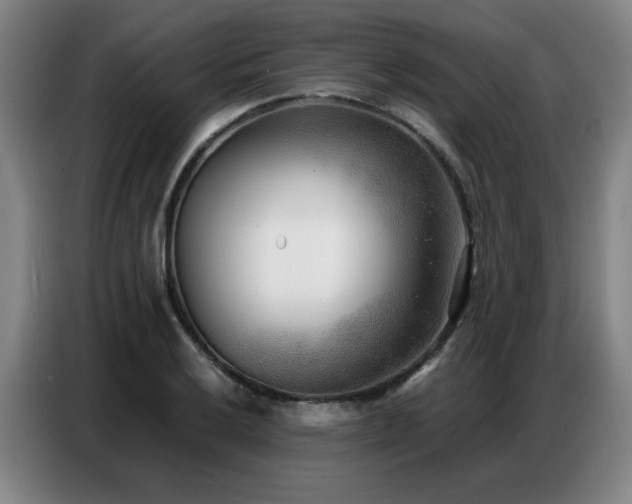 X0000087321032200704201107