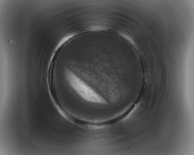 X0000087321034200704201107