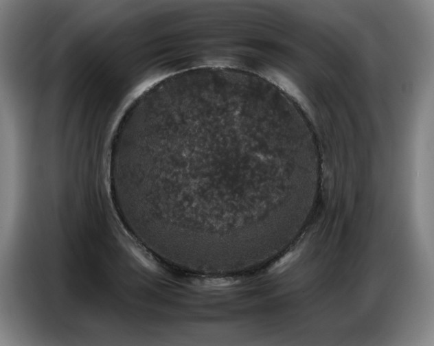 X0000087321035200704201107