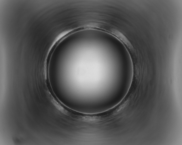 X0000087321036200704201107