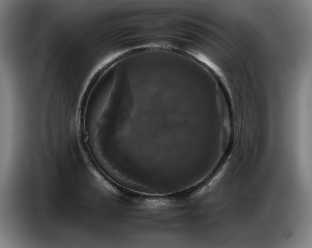 X0000087321037200704201107