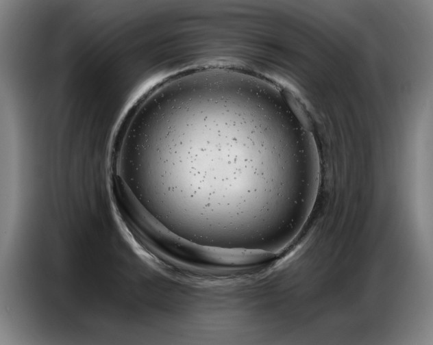 X0000087321038200704201107