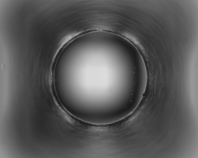 X0000087321040200704201107