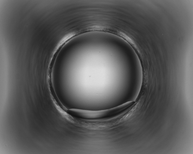 X0000087321042200704201107