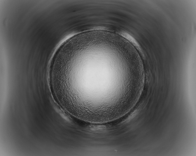 X0000087321043200704201107