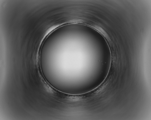 X0000087321044200704201107