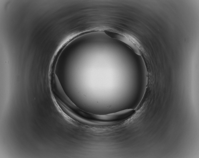 X0000087321046200704201107