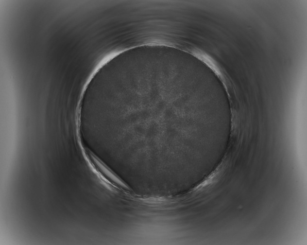 X0000087321048200704201107